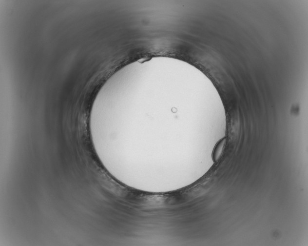 X0000091290473200709071036