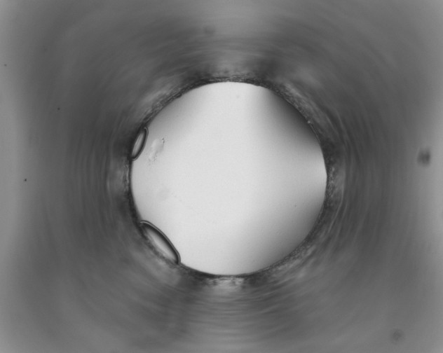 X0000091290474200709071036