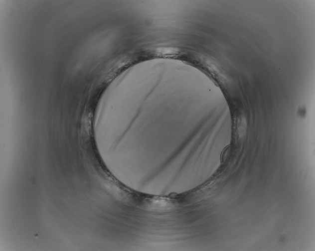 X0000091290475200709071036