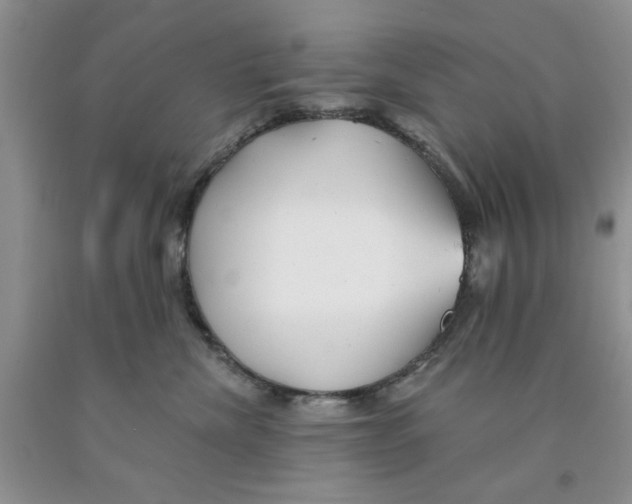 X0000091290476200709071036