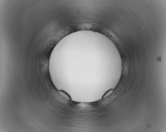 X0000091290477200709071036