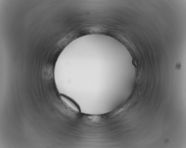 X0000091290478200709071036