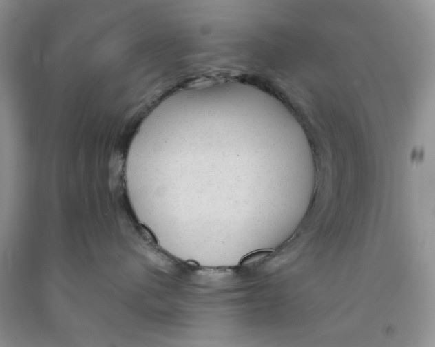 X0000091290480200709071036