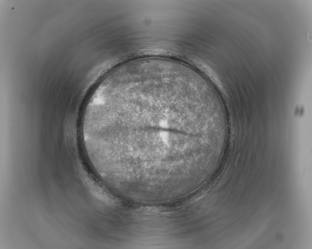 X0000091290482200709071035