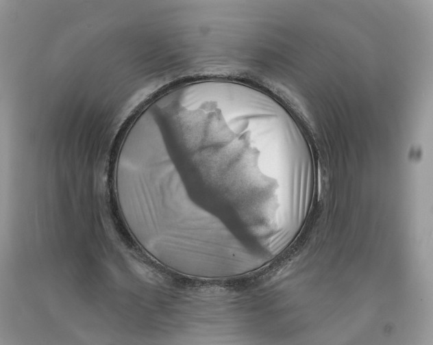 X0000091290483200709071035