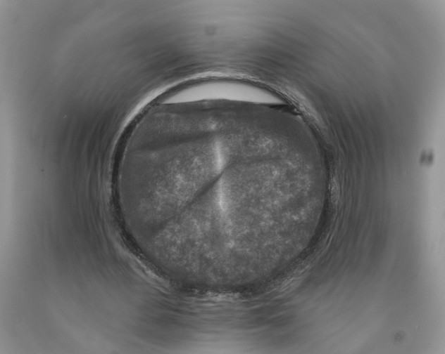 X0000091290484200709071035