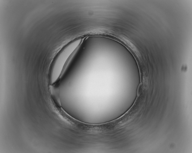 X0000091290485200709071035