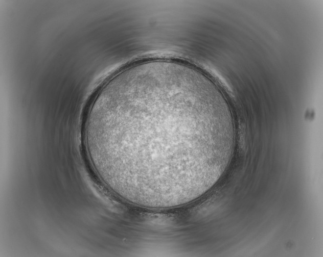 X0000091290486200709071035