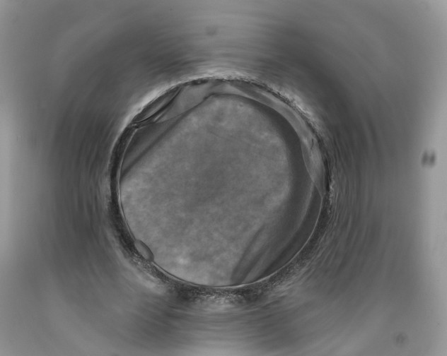 X0000091290488200709071035