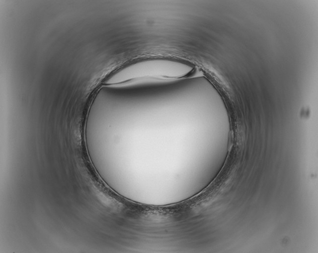 X0000091290489200709071035