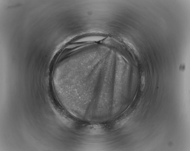 X0000091290492200709071035