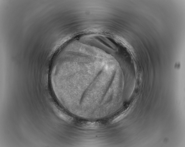 X0000091290493200709071035