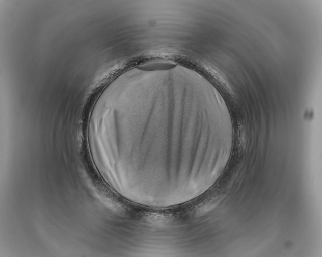 X0000091290494200709071035