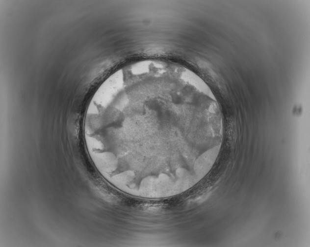 X0000091290495200709071035