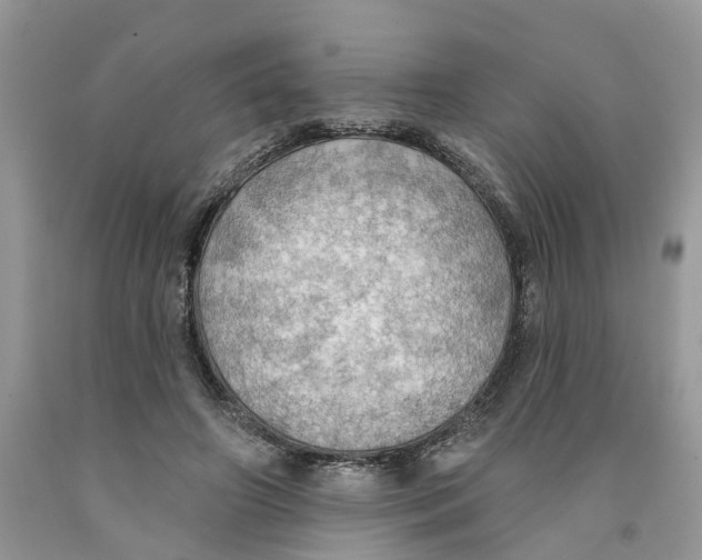 X0000091290498200709071035