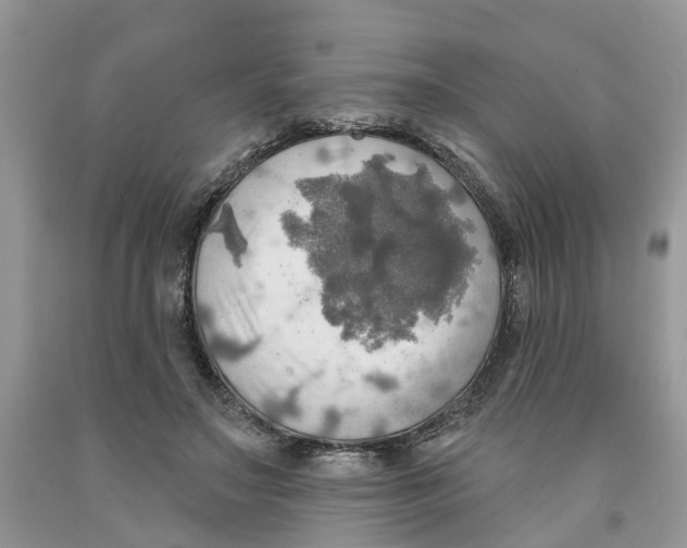 X0000091290499200709071035