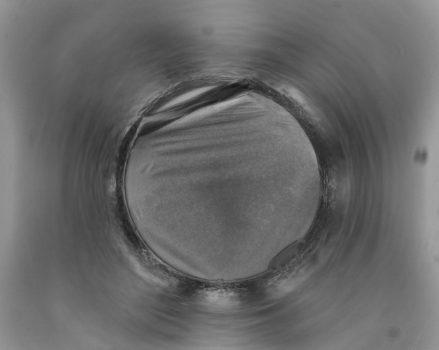 X0000091290500200709071035