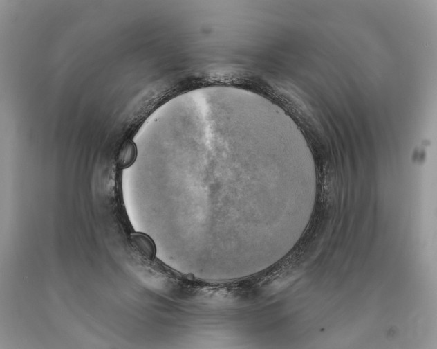 X0000091290502200709071035