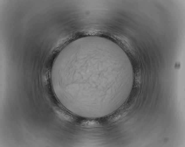 X0000091290503200709071035