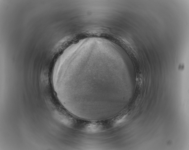 X0000091290504200709071035