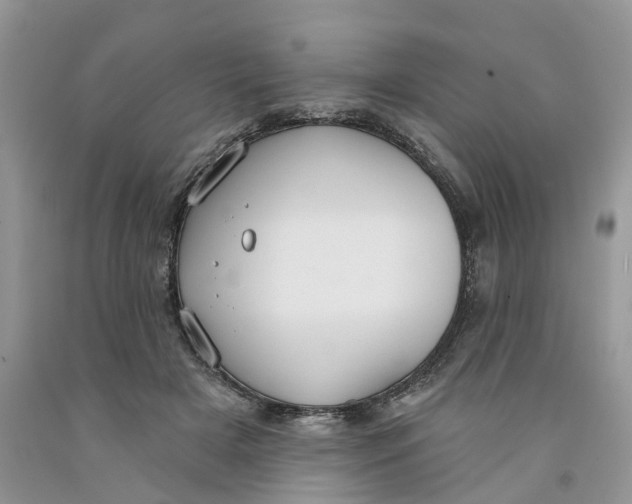 X0000091290505200709071035