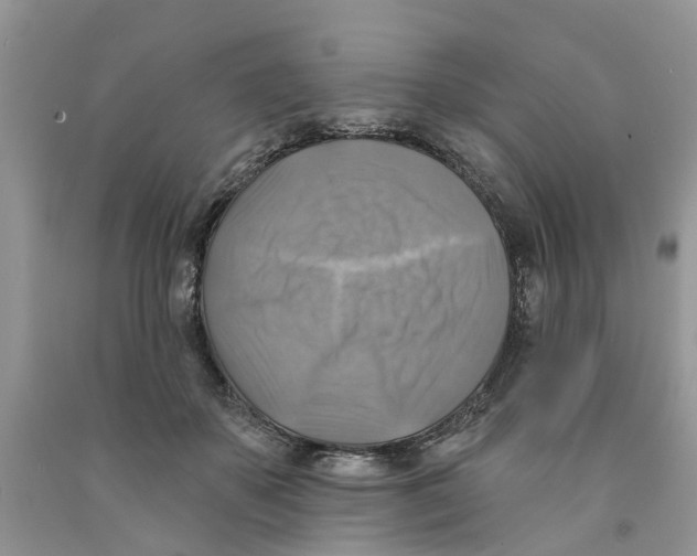 X0000091290507200709071035