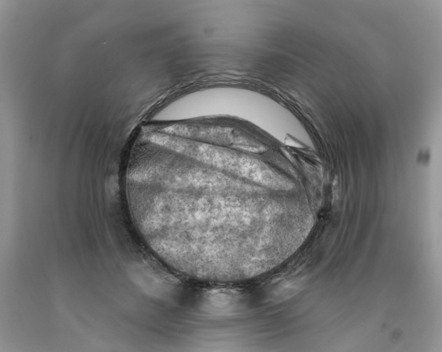 X0000091290508200709071035