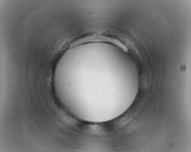 X0000091290509200709071035