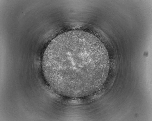 X0000091290510200709071035