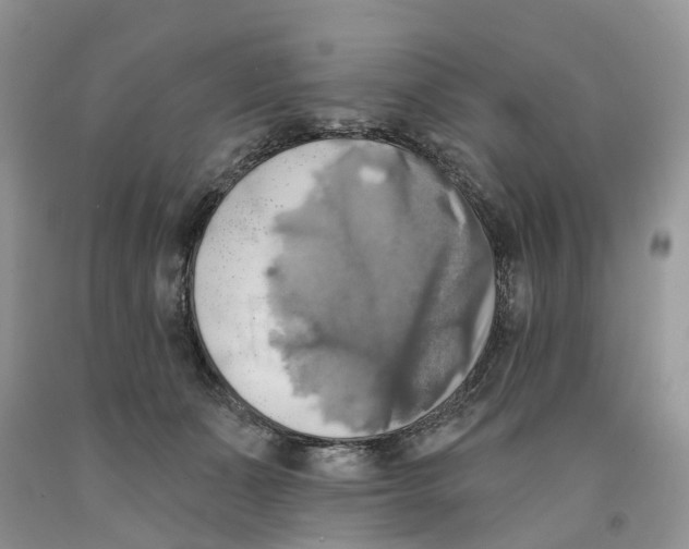 X0000091290511200709071035