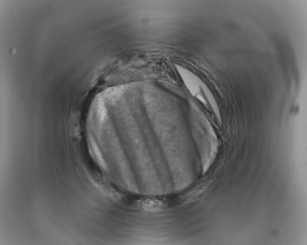 X0000091290512200709071035