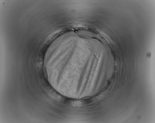 X0000091290513200709071035