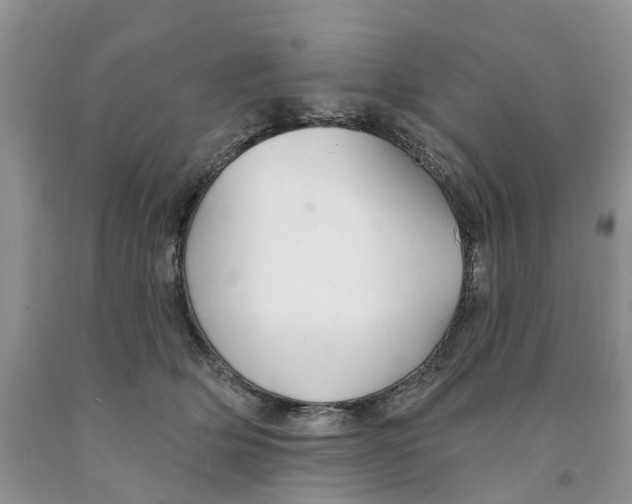 X0000091290514200709071035