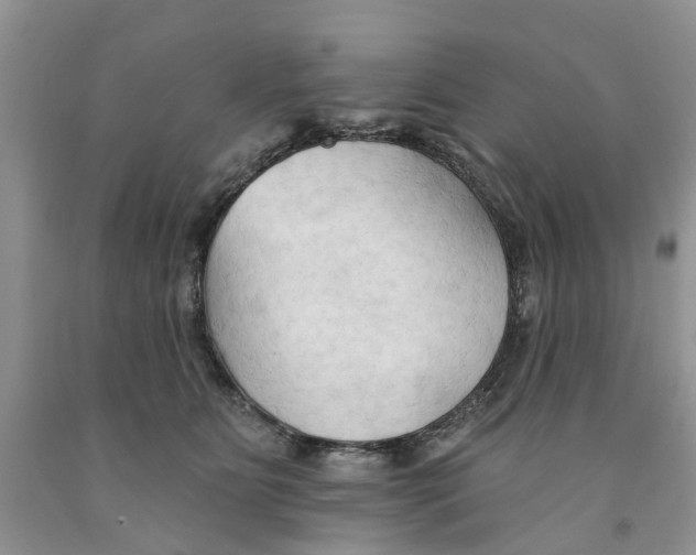 X0000091290515200709071035