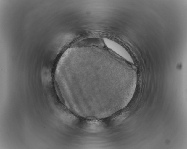 X0000091290516200709071035