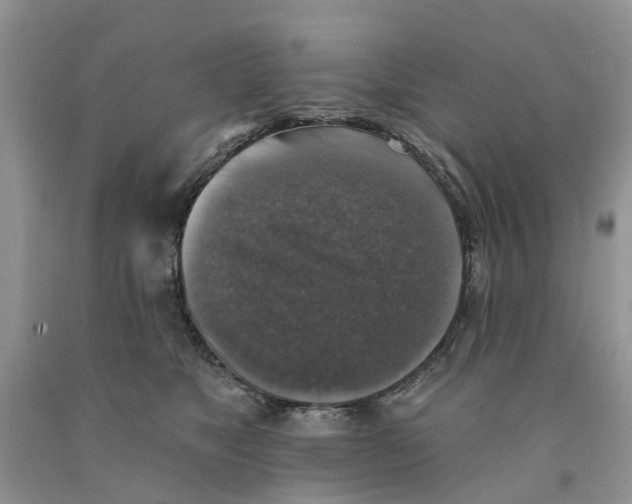 X0000091290517200709071035