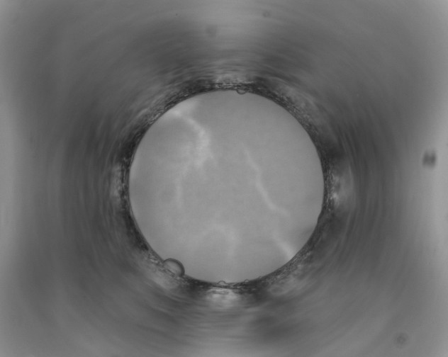 X0000091290519200709071035