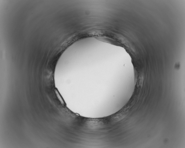 X0000091290521200709071035