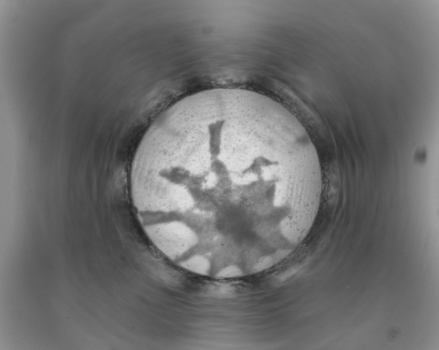 X0000091290523200709071035