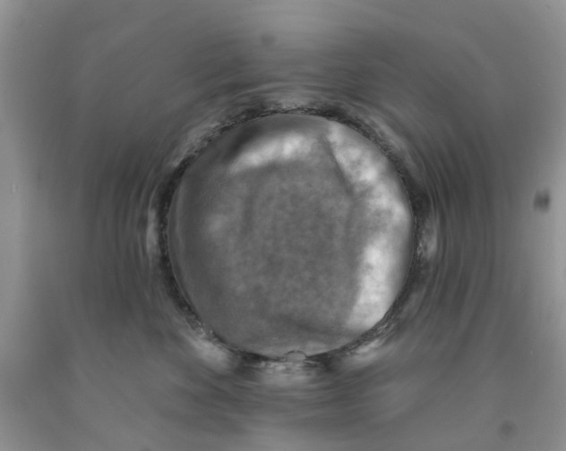 X0000091290524200709071035