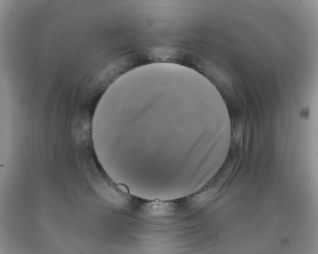 X0000091290526200709071035