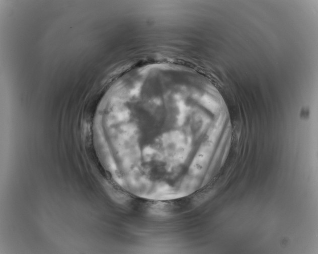 X0000091290527200709071035