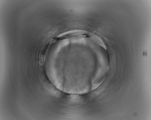 X0000091290528200709071034