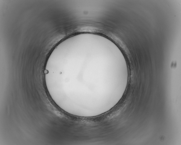 X0000091290529200709071034