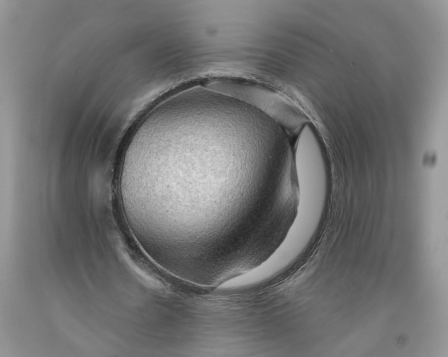 X0000091290530200709071034