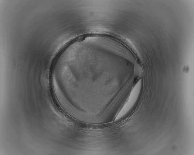 X0000091290531200709071034