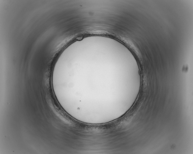 X0000091290533200709071034