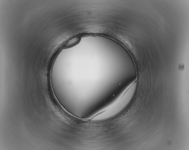 X0000091290535200709071034