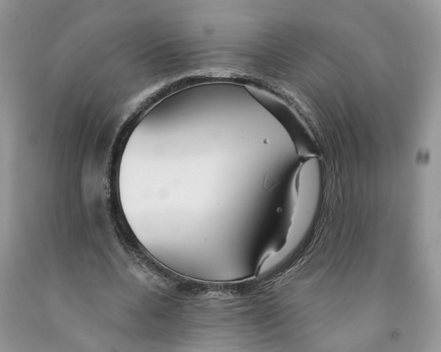 X0000091290536200709071034