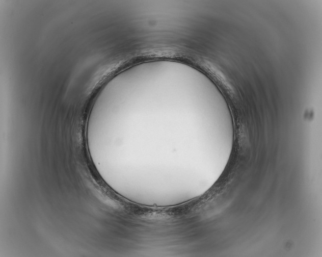 X0000091290537200709071034